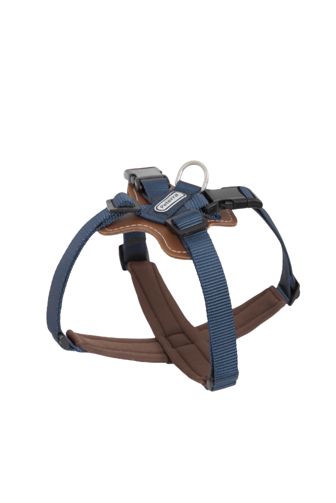 84eae3cb-f46b-4a58-a6ae-2ac540a03286 Harness X type