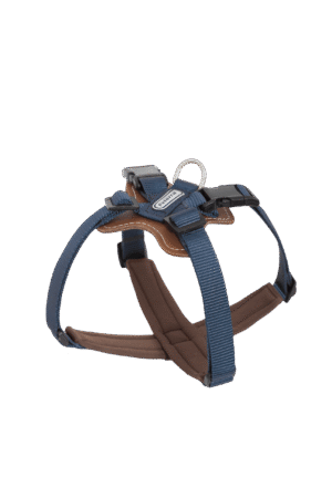 84eae3cb-f46b-4a58-a6ae-2ac540a03286 Harness X type