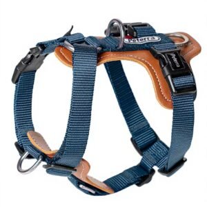 pet harness Harness