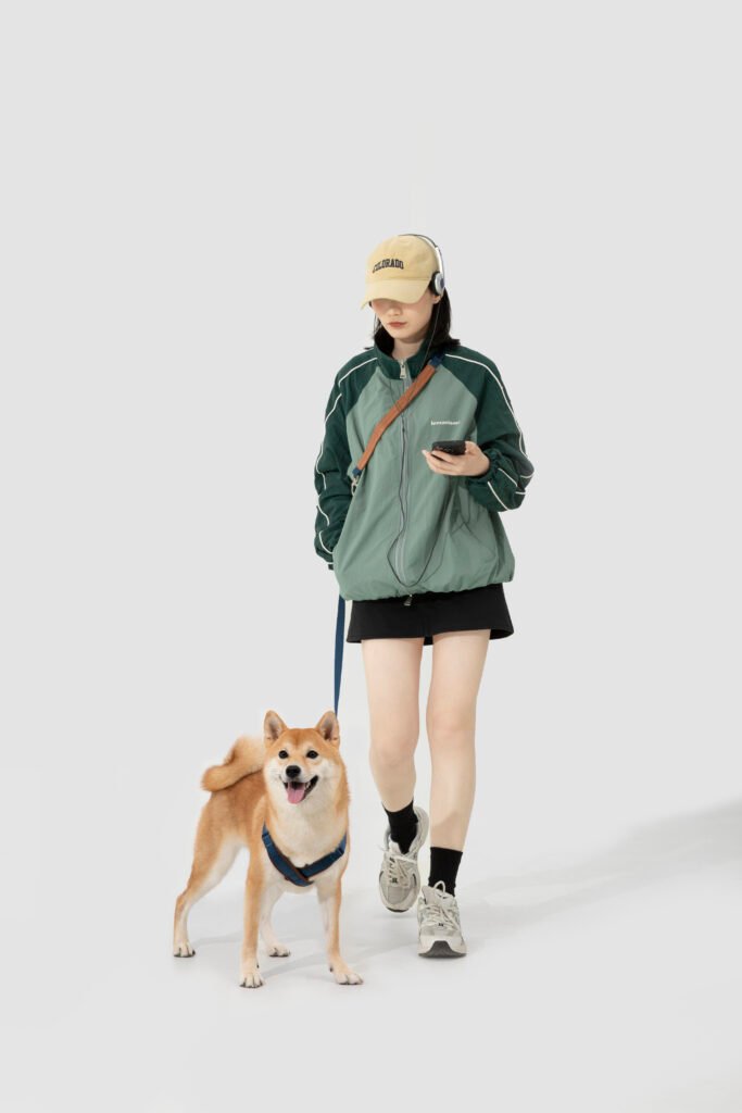场景图06 Leashes